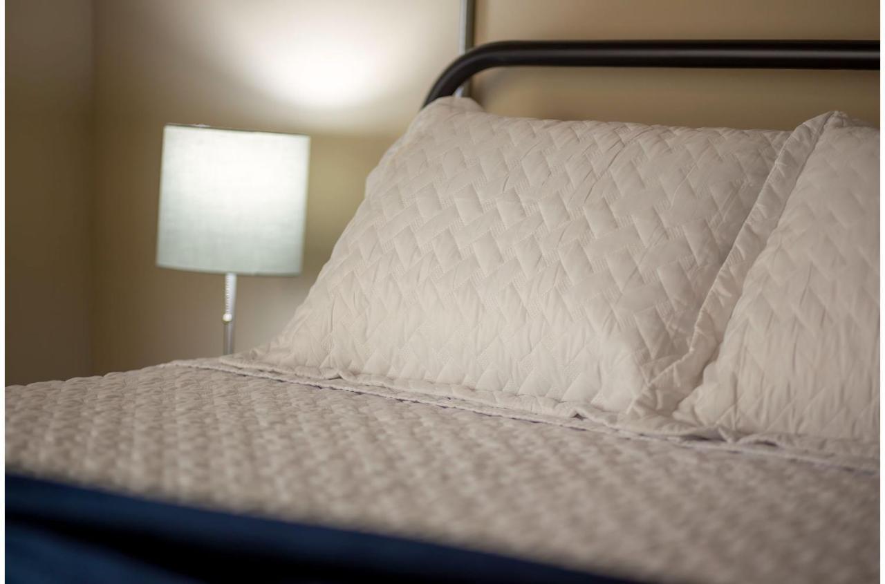 Gorgeous Guesthouse Near Amazing Downtown San Antonio Extérieur photo